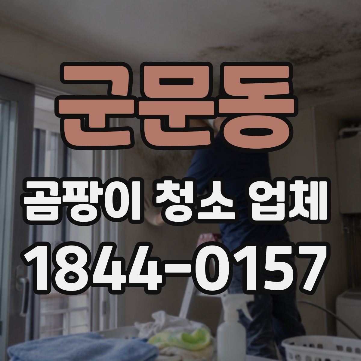 군문동 곰팡이 청소 업체 비용과 현장 상태의 관계