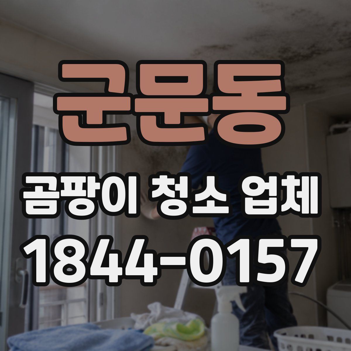 군문동 곰팡이 청소 업체
