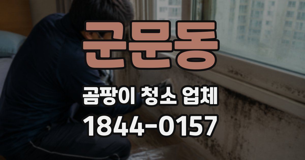 군문동 곰팡이 청소 업체