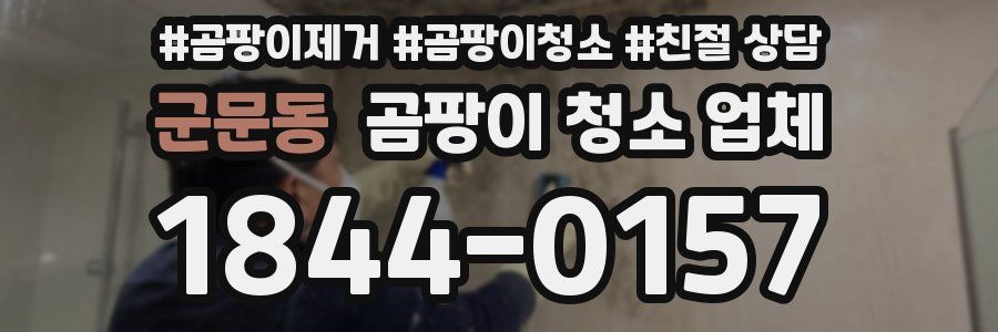 군문동 곰팡이 청소 업체