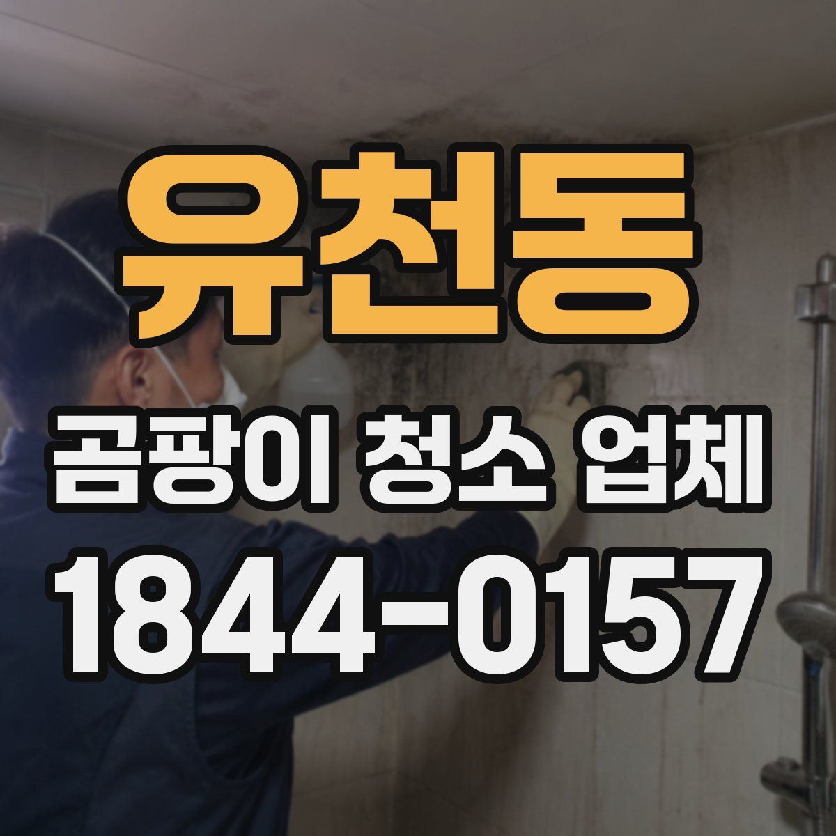 유천동 곰팡이 청소 업체
