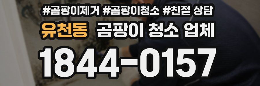유천동 곰팡이 청소 업체