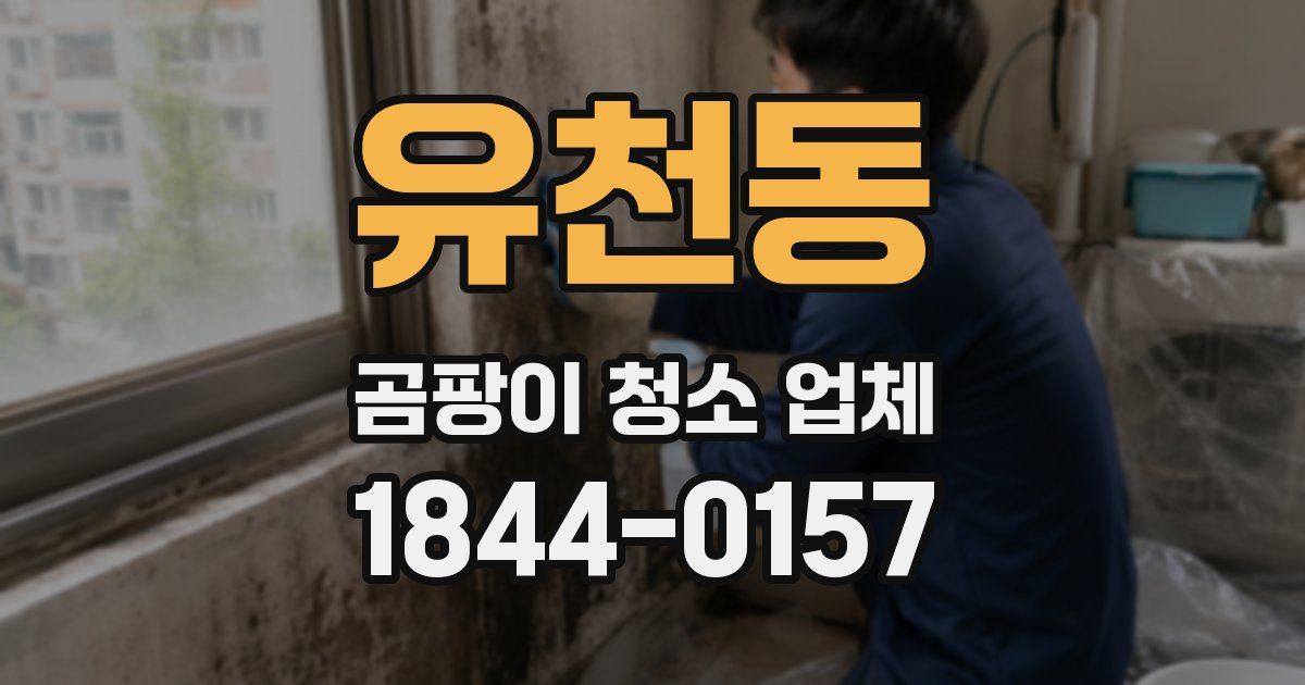 유천동 곰팡이 청소 업체