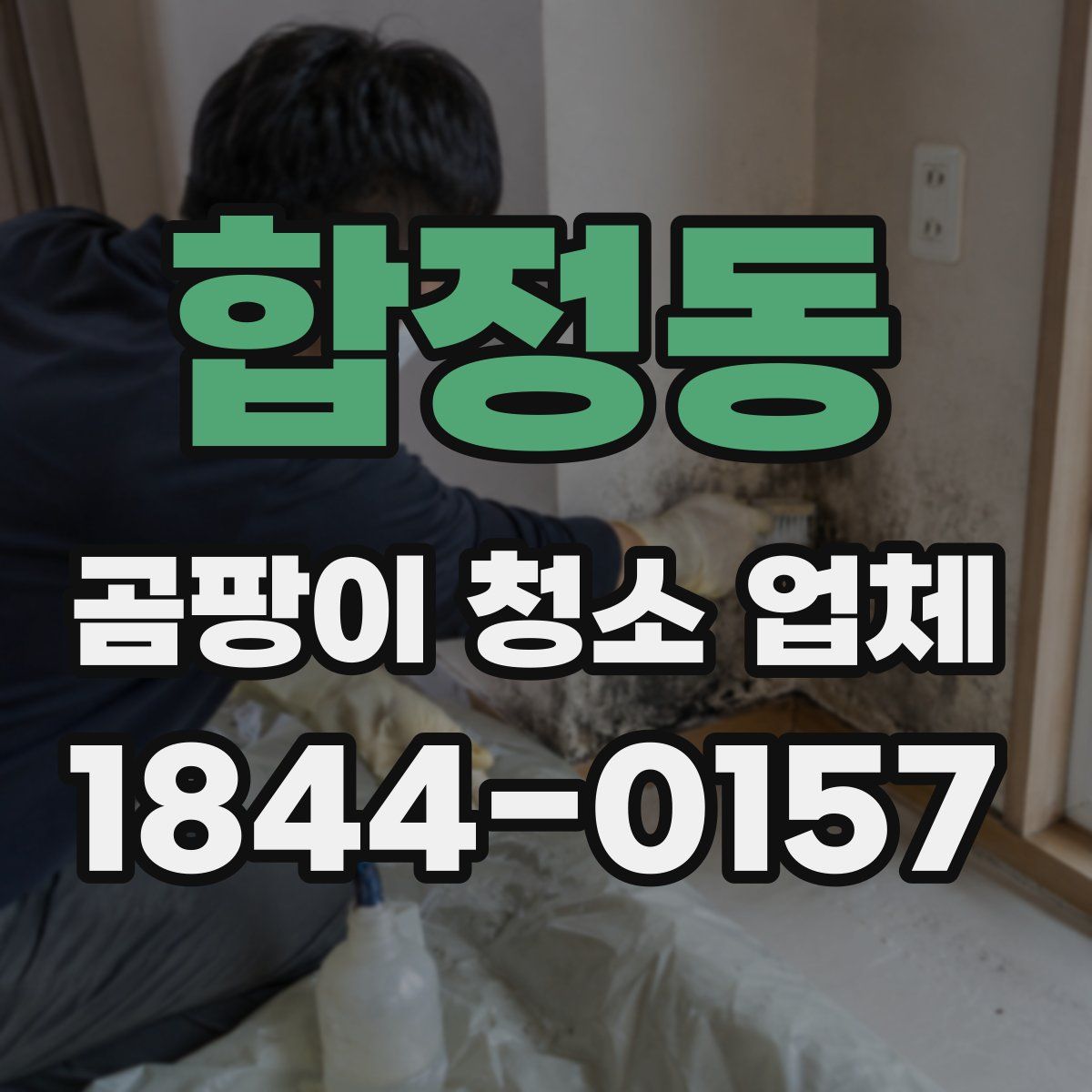 합정동 곰팡이 청소 업체