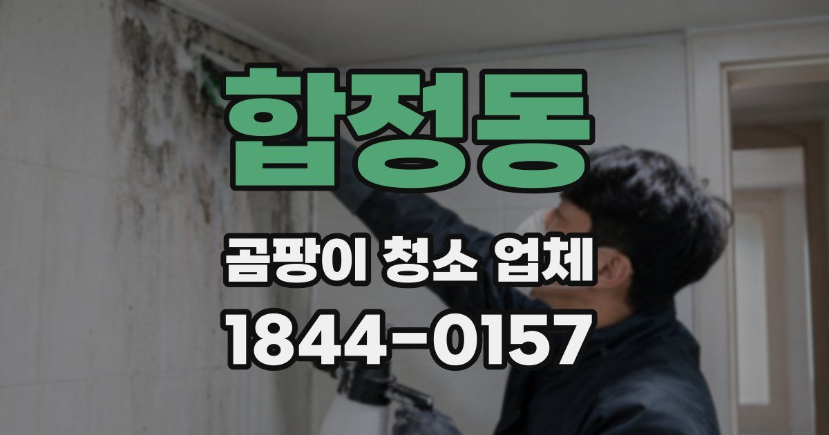 합정동 곰팡이 청소 업체