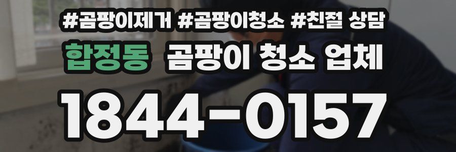 합정동 곰팡이 청소 업체