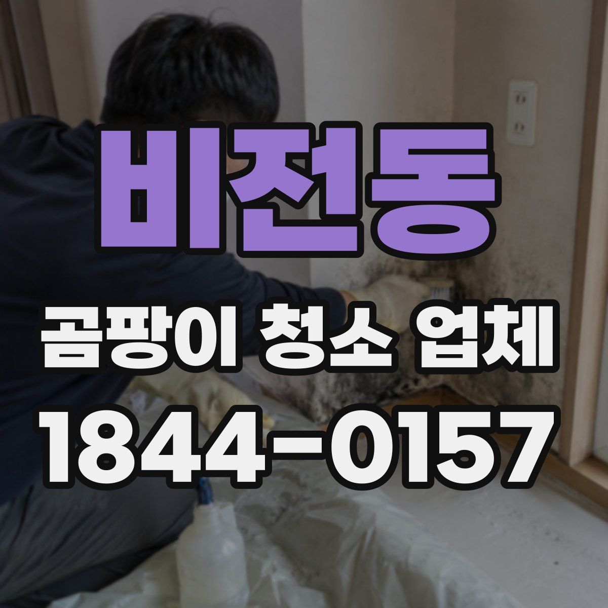 비전동 곰팡이 청소 업체