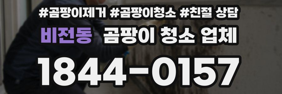비전동 곰팡이 청소 업체