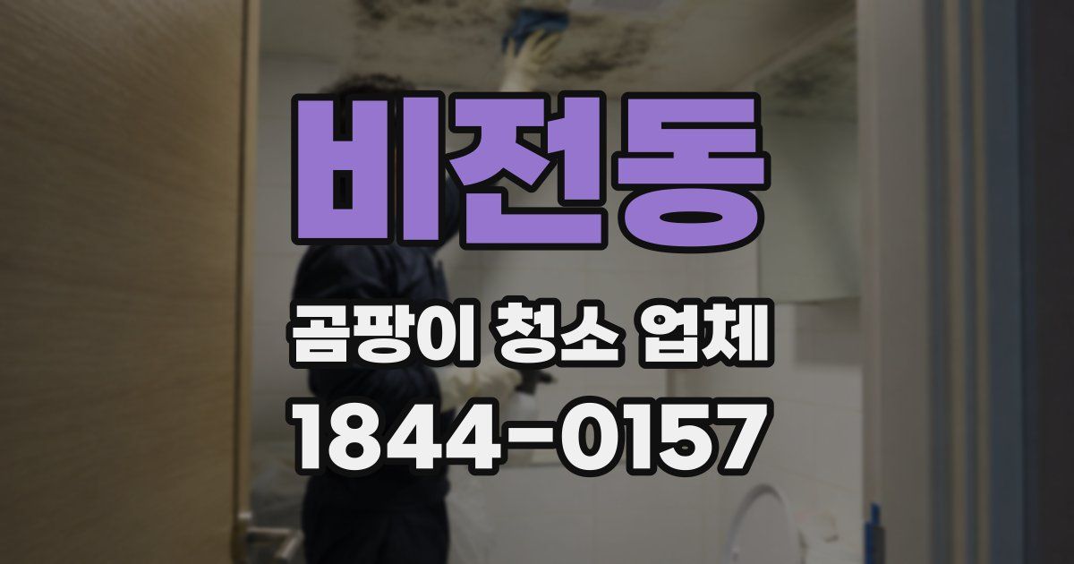 비전동 곰팡이 청소 업체