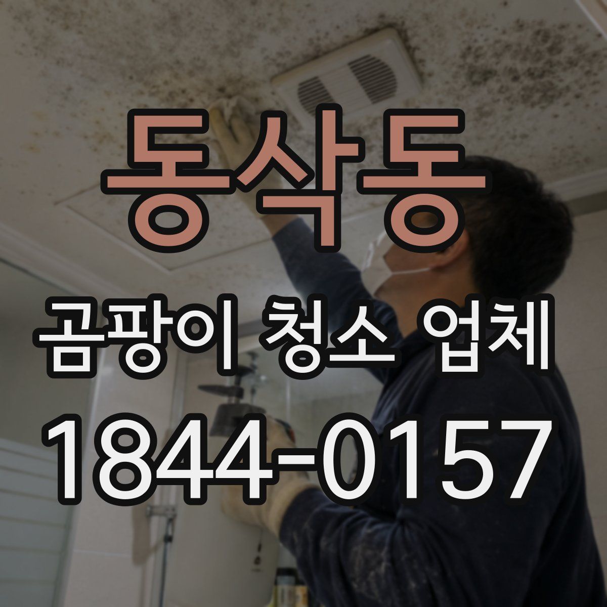 동삭동 곰팡이 청소 업체