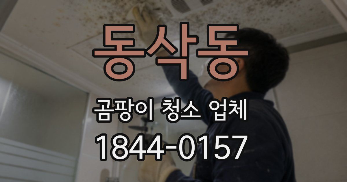 동삭동 곰팡이 청소 업체