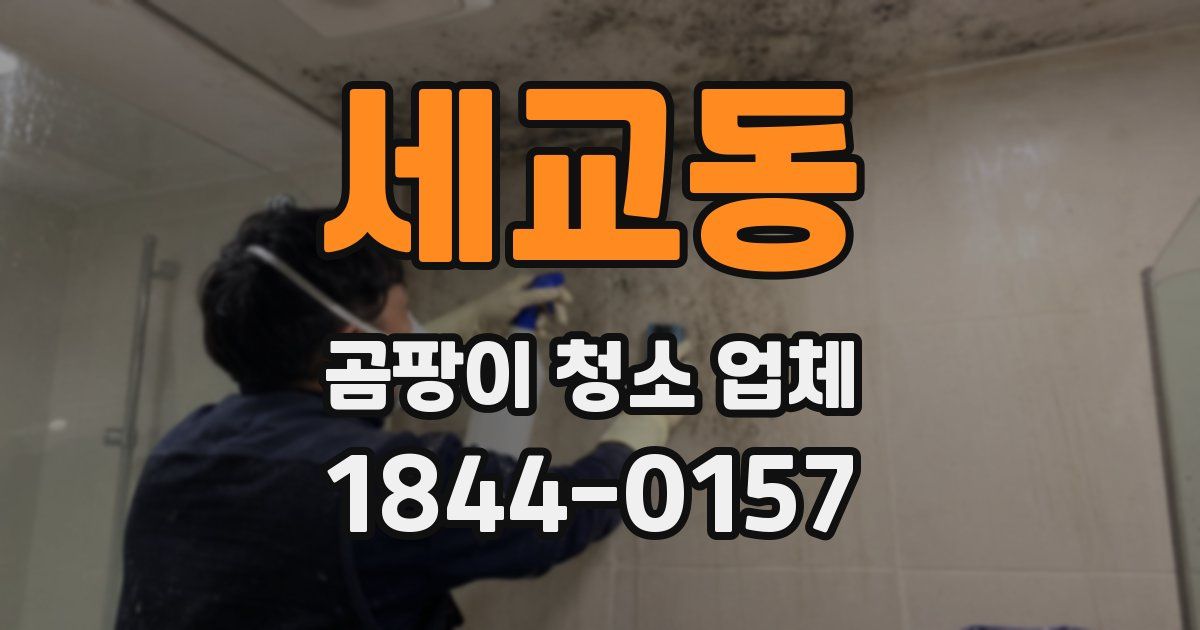 세교동 곰팡이 청소 업체