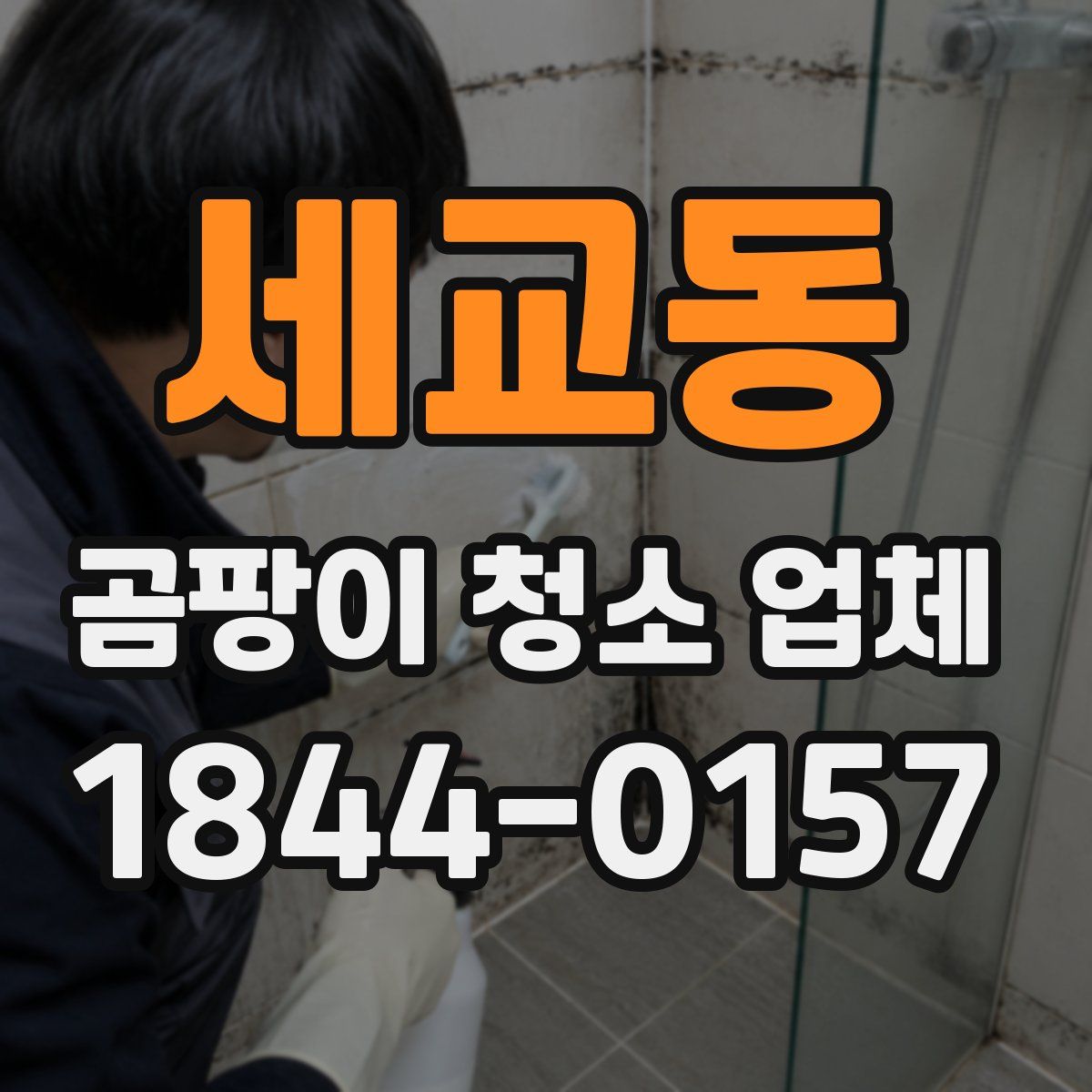 세교동 곰팡이 청소 업체