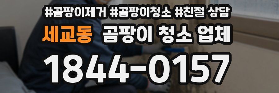 세교동 곰팡이 청소 업체