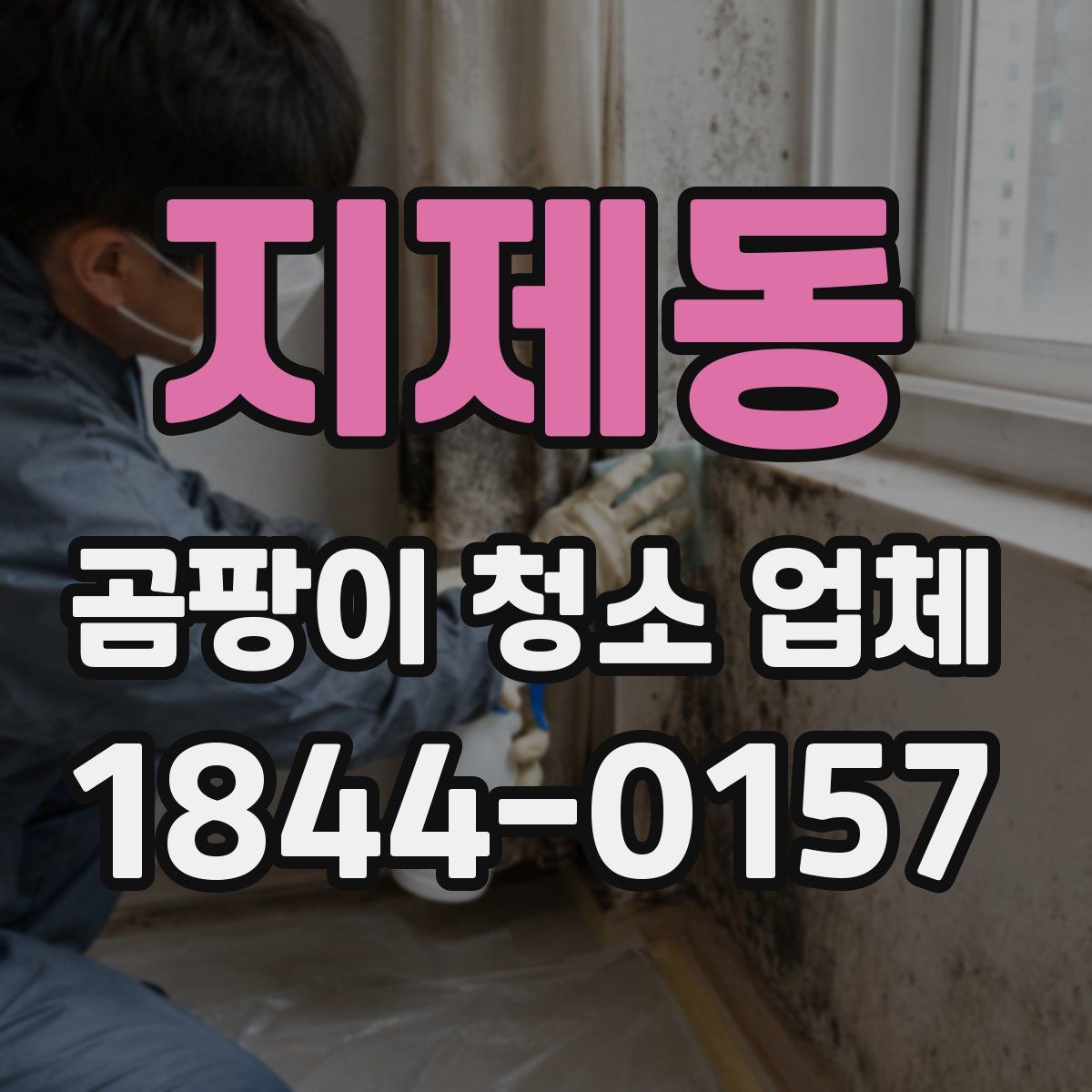 지제동 곰팡이 청소 업체