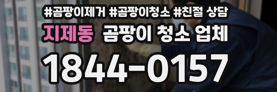 지제동 곰팡이 청소 업체