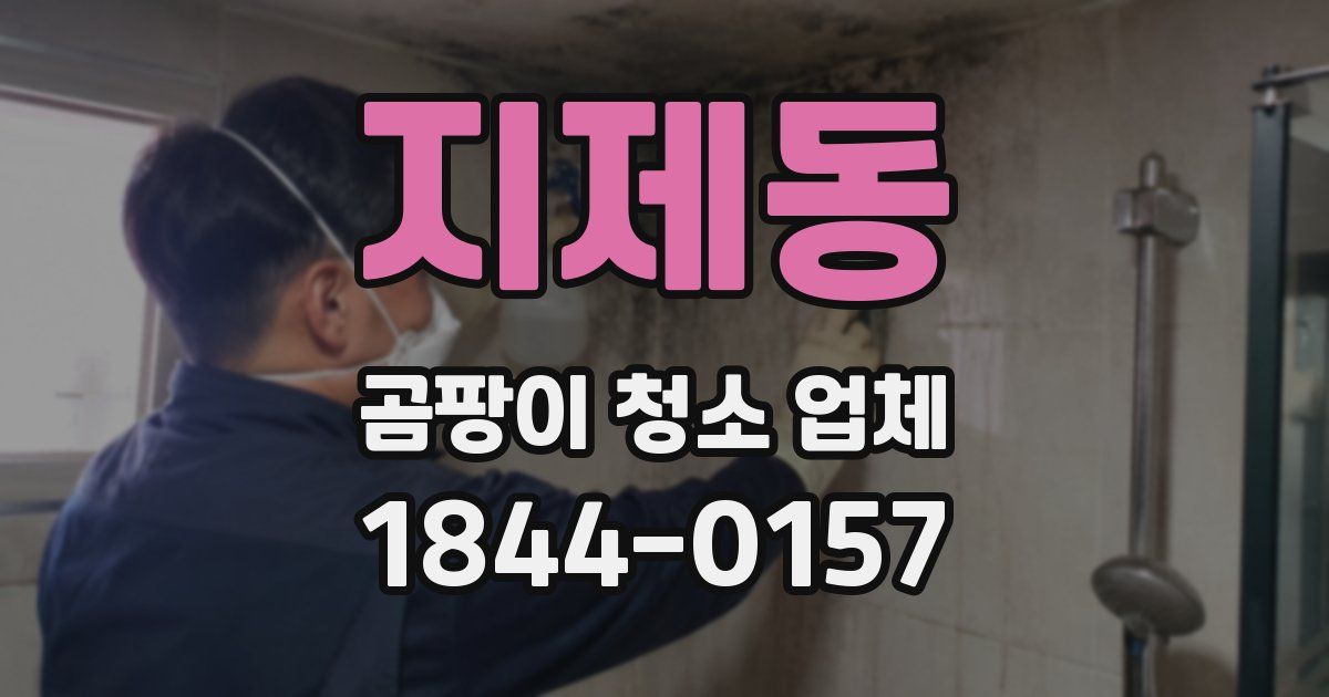 지제동 곰팡이 청소 업체