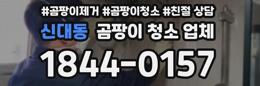 신대동 곰팡이 청소 업체