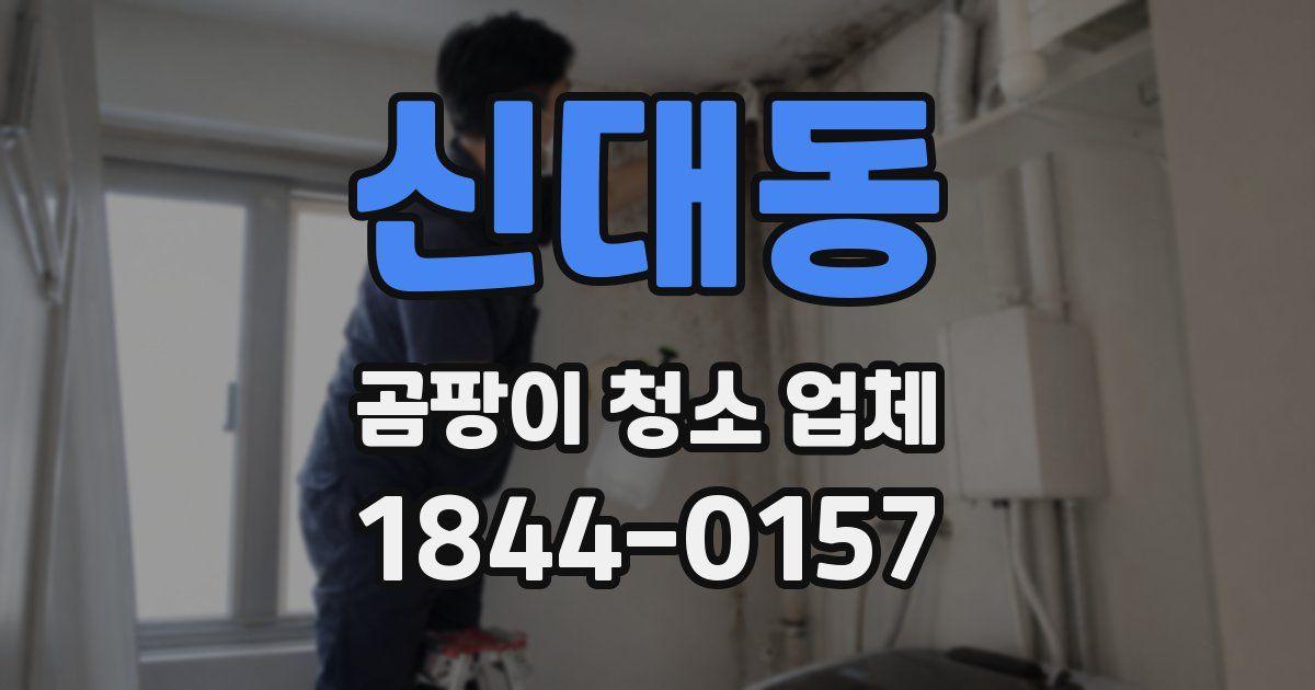 신대동 곰팡이 청소 업체