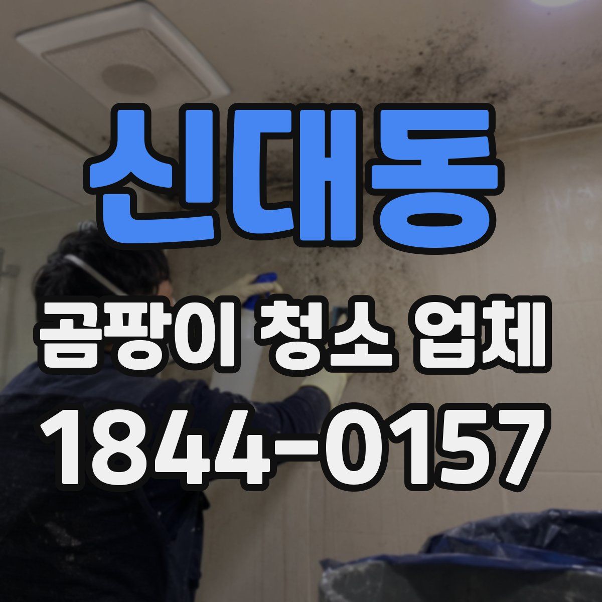 신대동 곰팡이 청소 업체