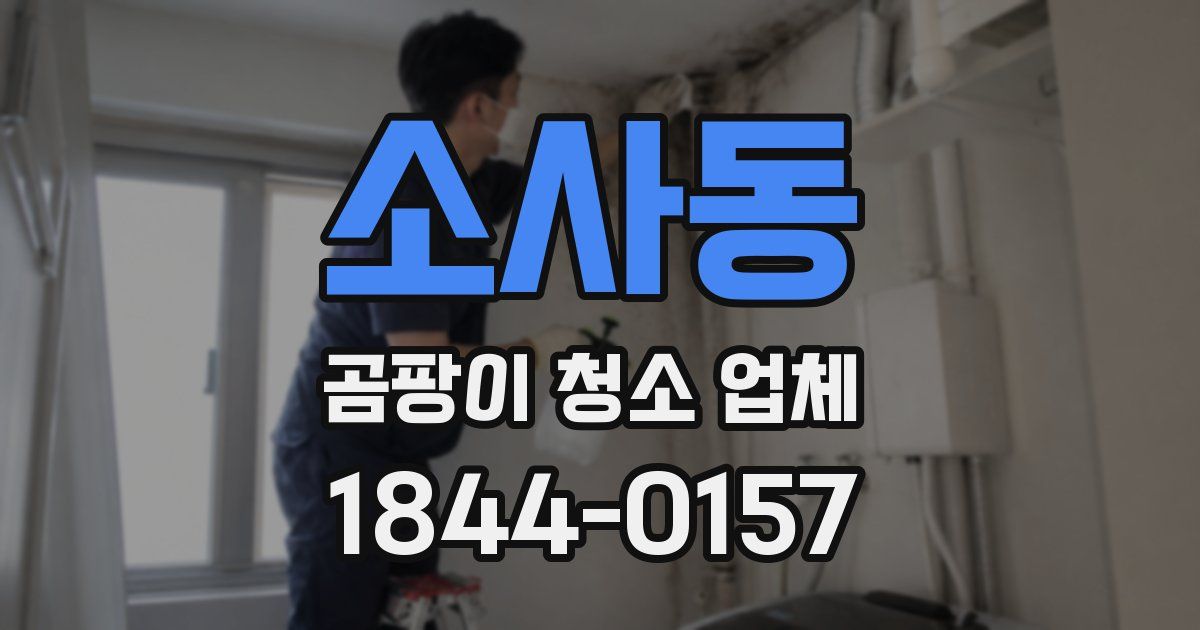 소사동 곰팡이 청소 업체