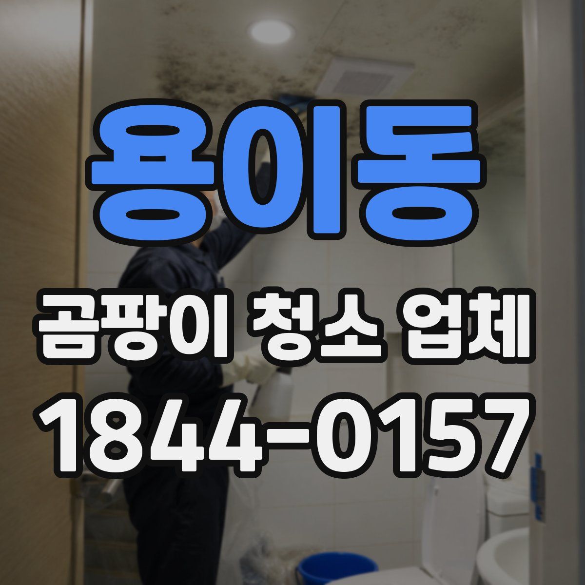 용이동 곰팡이 청소 업체