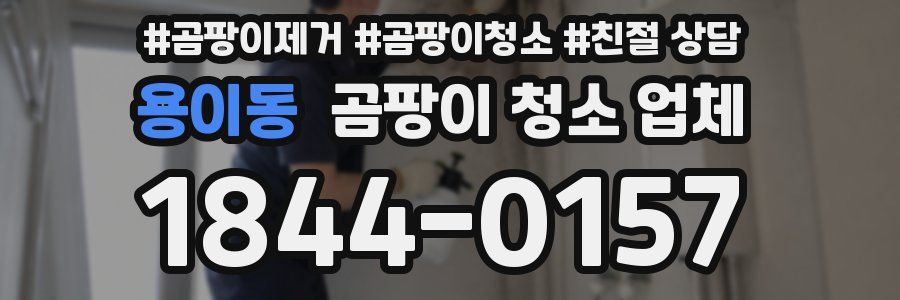 용이동 곰팡이 청소 업체