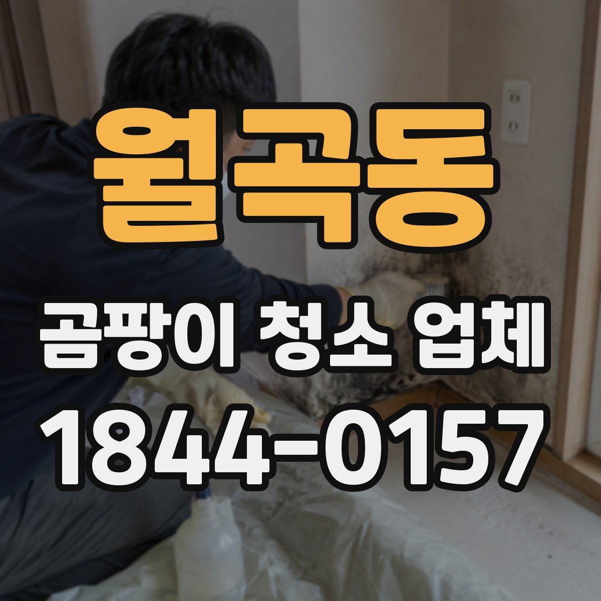 월곡동 곰팡이 청소 업체