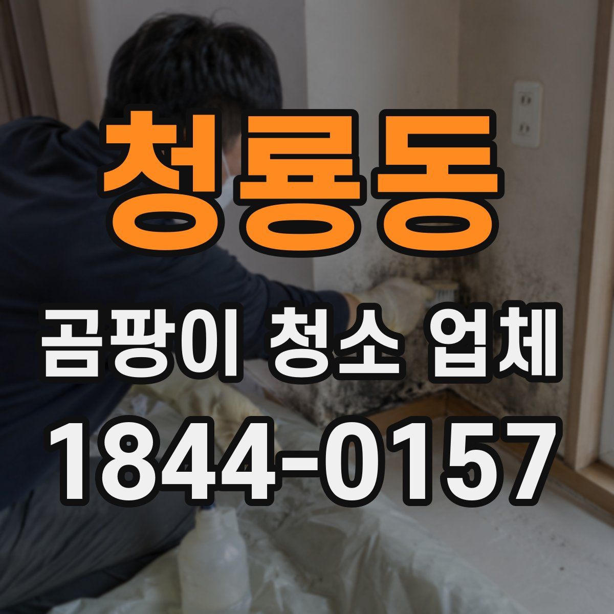 청룡동 곰팡이 청소 업체