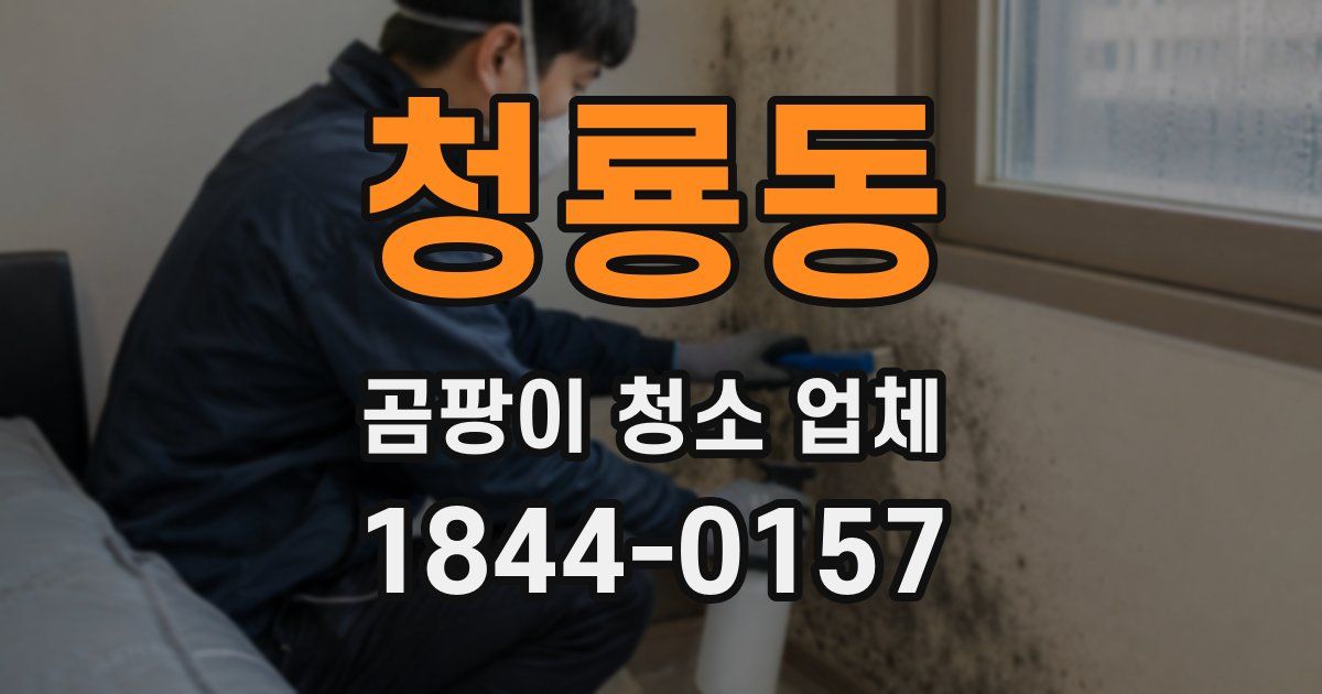 청룡동 곰팡이 청소 업체