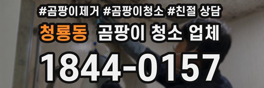 청룡동 곰팡이 청소 업체