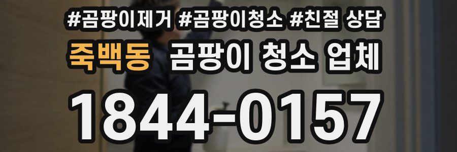 죽백동 곰팡이 청소 업체