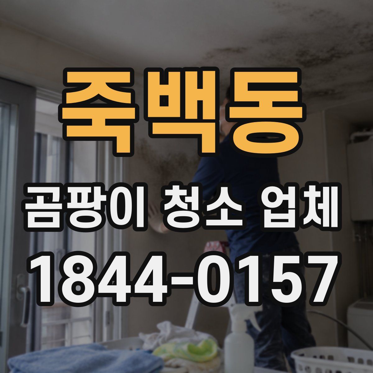 죽백동 곰팡이 청소 업체