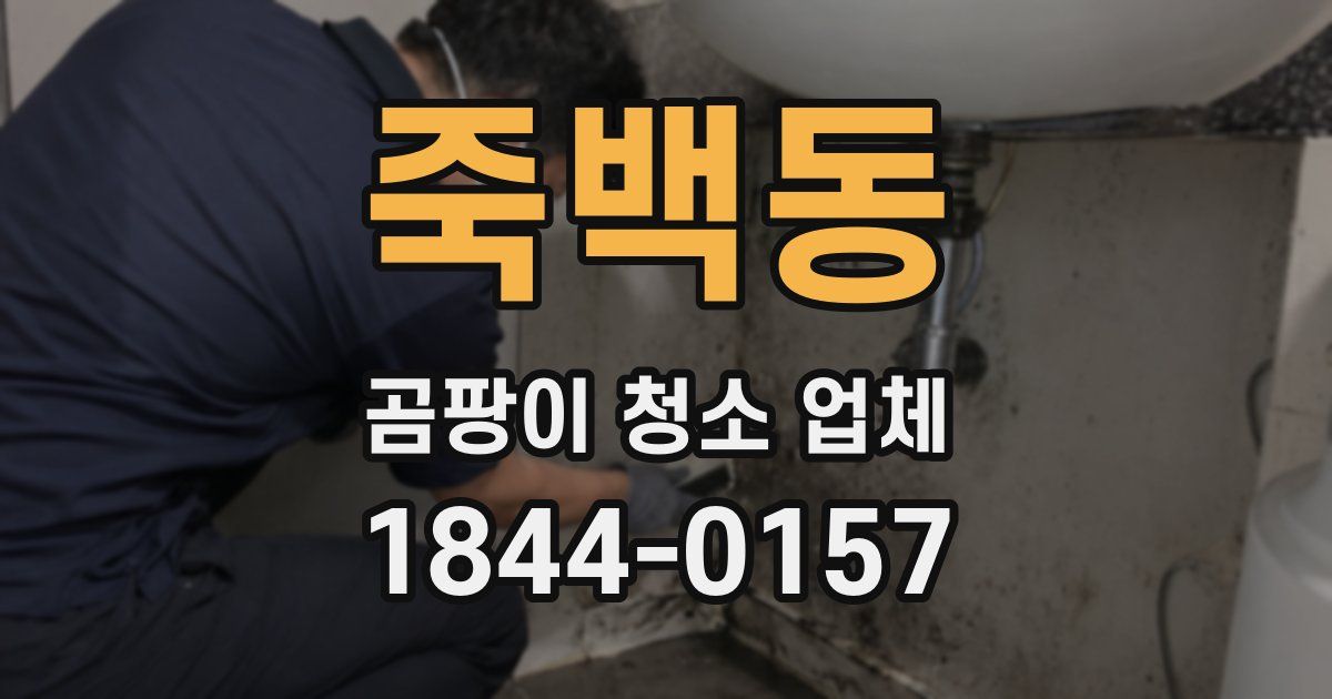 죽백동 곰팡이 청소 업체