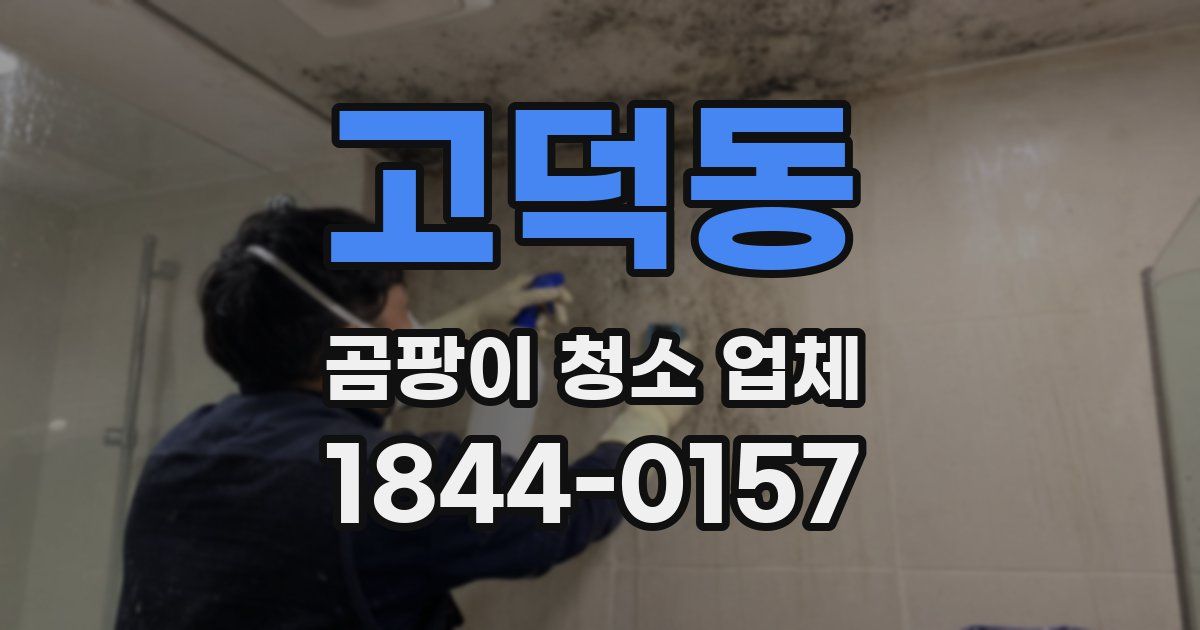 고덕동 곰팡이 청소 업체