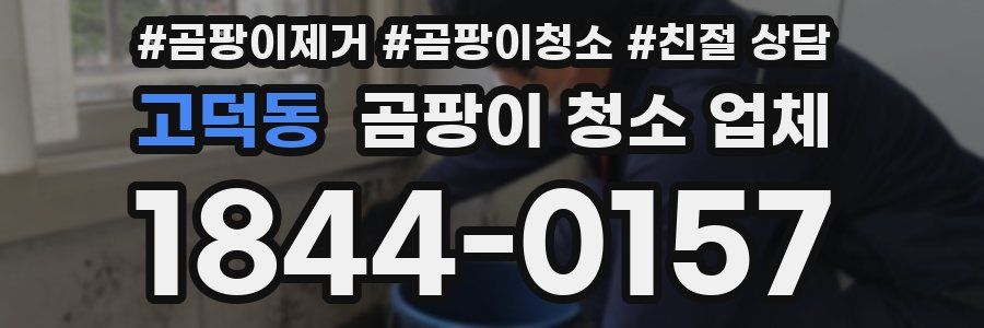 고덕동 곰팡이 청소 업체