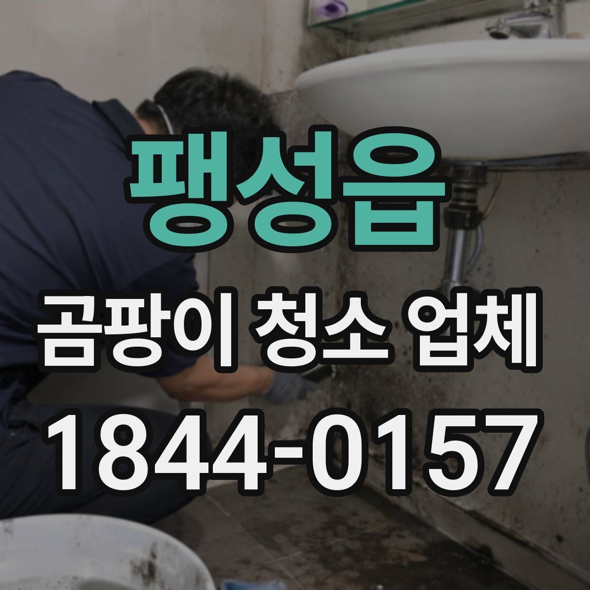팽성읍 곰팡이 청소 업체