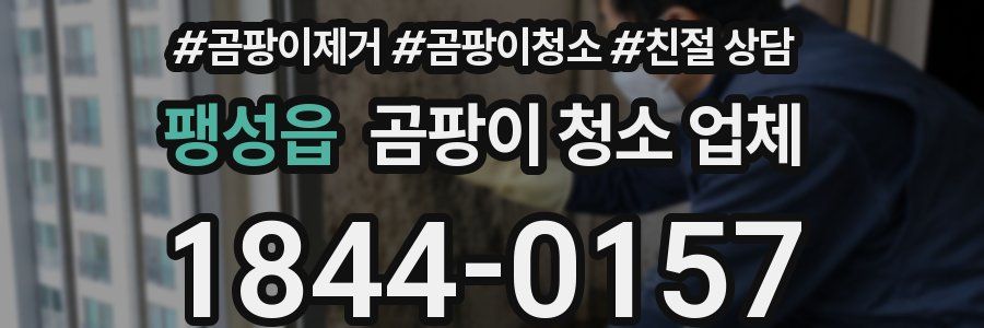 팽성읍 곰팡이 청소 업체