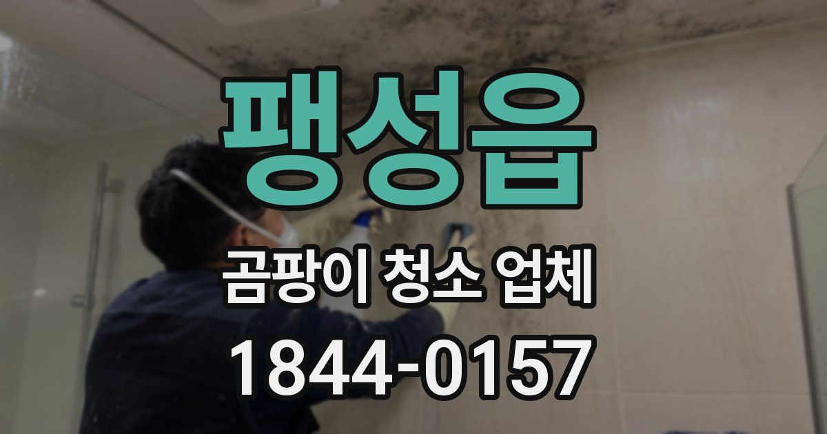 팽성읍 곰팡이 청소 업체