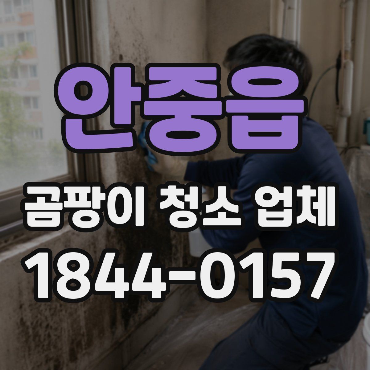 안중읍 곰팡이 청소 업체 서비스 범위와 추가 비용