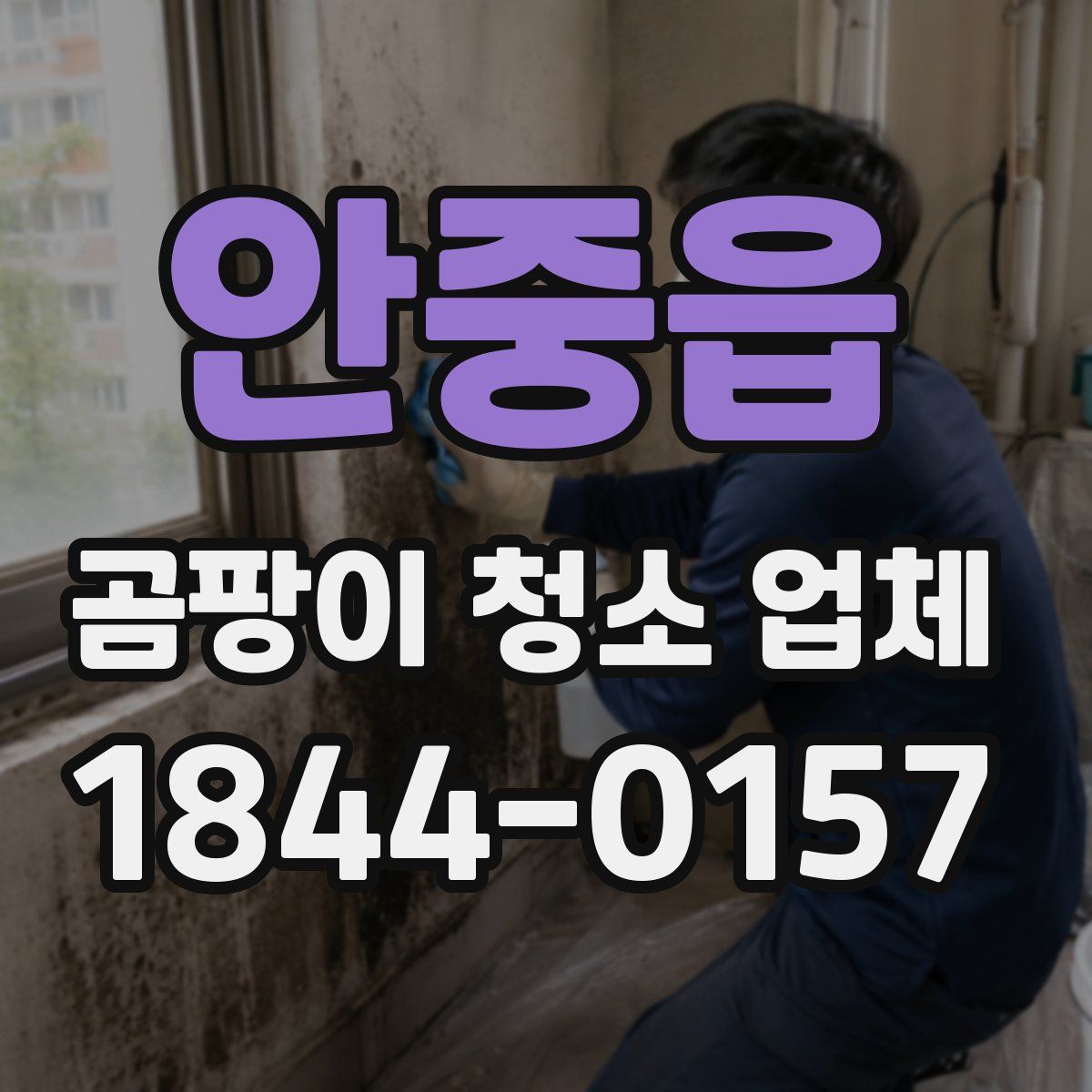 안중읍 곰팡이 청소 업체