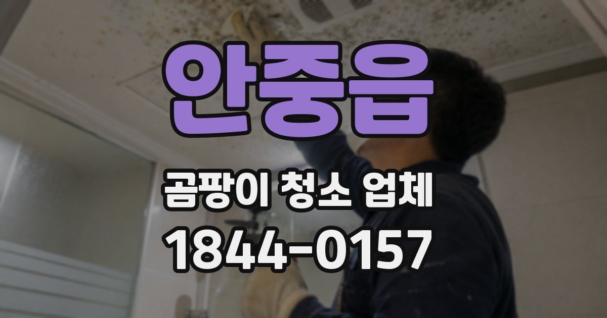 안중읍 곰팡이 청소 업체