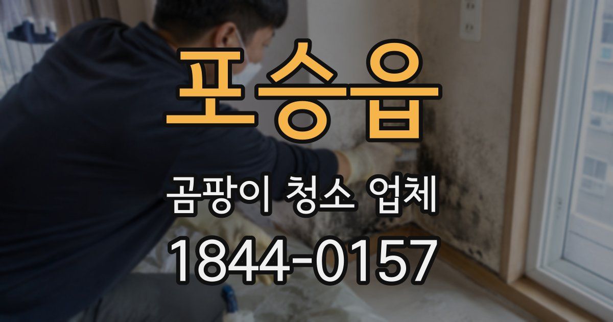 포승읍 곰팡이 청소 업체