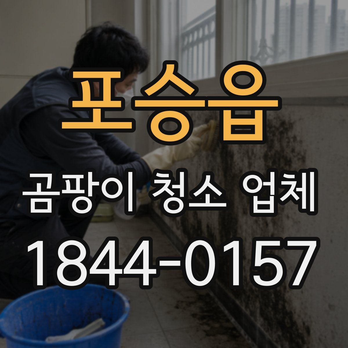포승읍 곰팡이 청소 업체