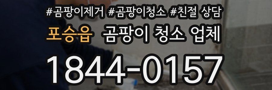 포승읍 곰팡이 청소 업체