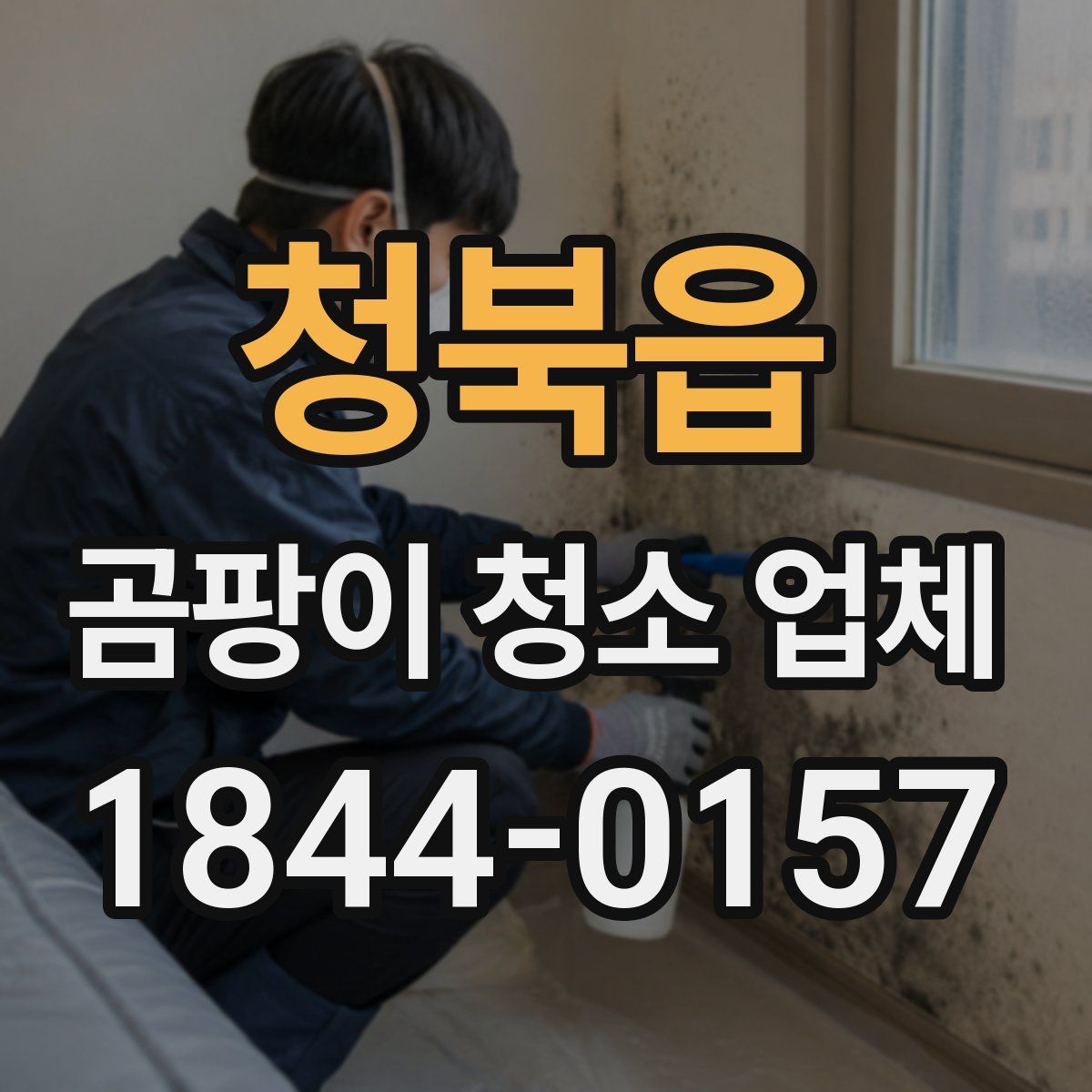 청북읍 곰팡이 청소 업체