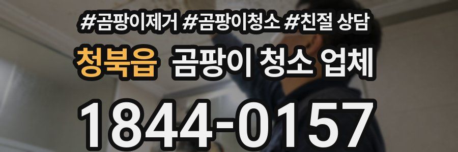 청북읍 곰팡이 청소 업체