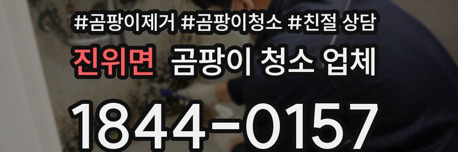 진위면 곰팡이 청소 업체