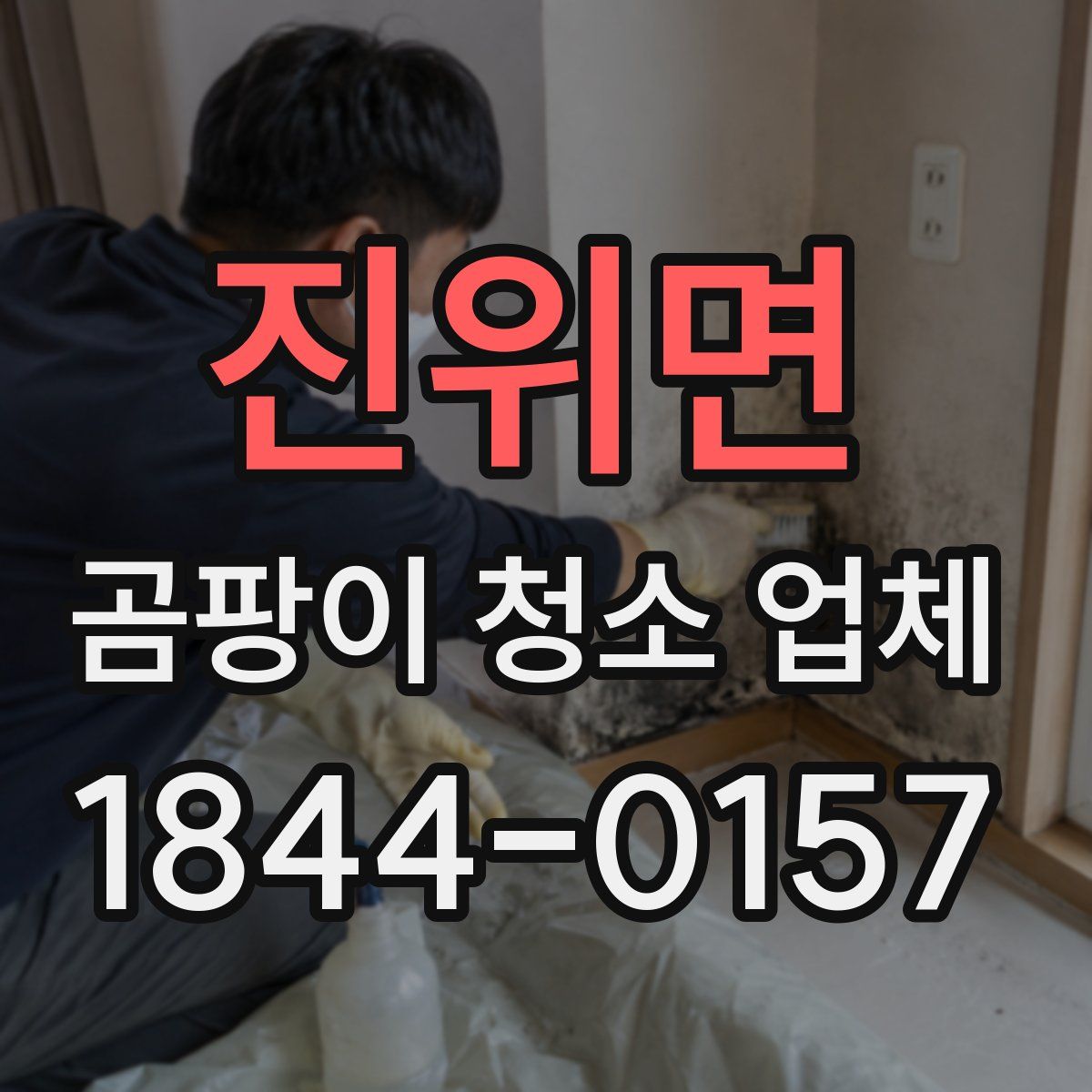 진위면 곰팡이 청소 업체