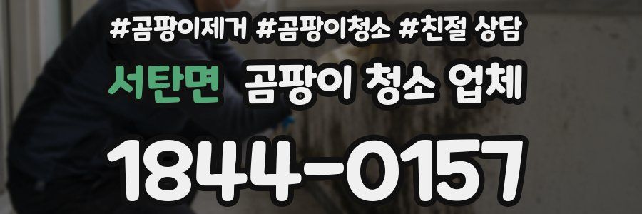서탄면 곰팡이 청소 업체